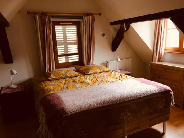 Appartement Au Charme Alsacien Kaysersberg-Vignoble Εξωτερικό φωτογραφία