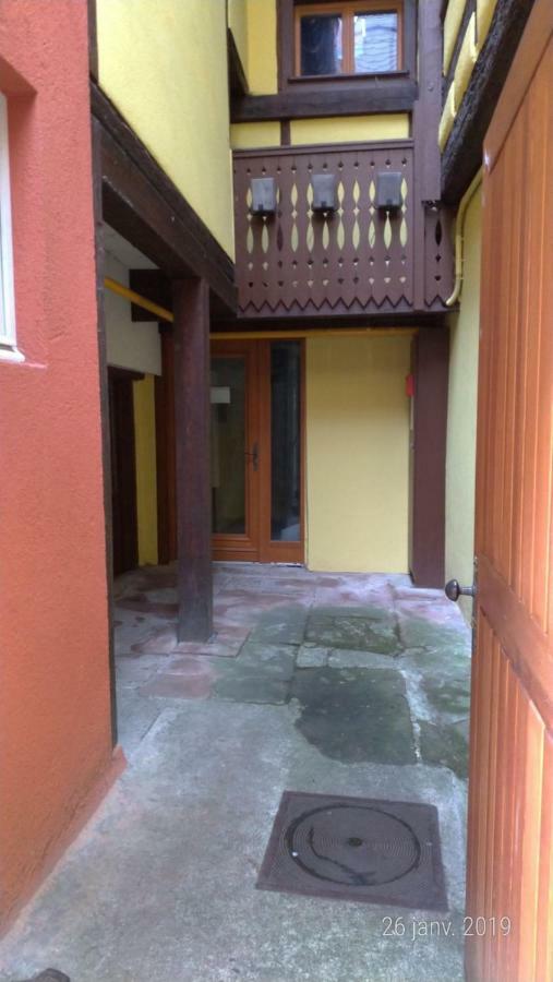 Appartement Au Charme Alsacien Kaysersberg-Vignoble Εξωτερικό φωτογραφία