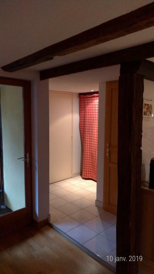 Appartement Au Charme Alsacien Kaysersberg-Vignoble Εξωτερικό φωτογραφία