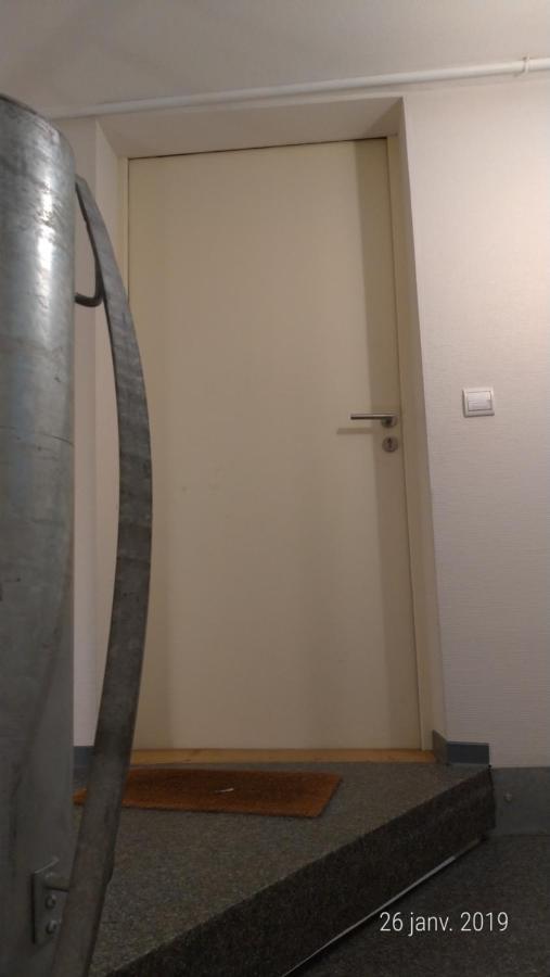 Appartement Au Charme Alsacien Kaysersberg-Vignoble Εξωτερικό φωτογραφία